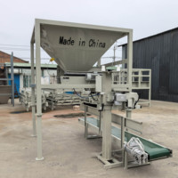 Ensacheuse à courroie de 10 kg à 50 kg avec grande trémie pour l'emballage de sable, gravier et galets de rivière