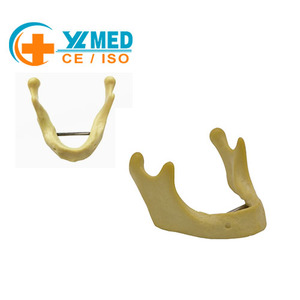 Modelo de mandíbula <span class=keywords><strong>humana</strong></span> para implantes, modelo dental de hueso inferior para práctica de perforación en la escuela de medicina, clase de medicina oral, CE/ISO - Product Image 1