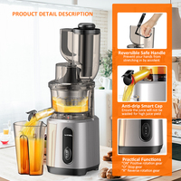 Oem Op Maat Gemaakte Exprimidor Lento Slow Juicer Lage Snelheid Koude Pers Met Hoge Capaciteit Omgekeerde Lage Ruisfunctie