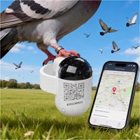 Localizador BT Mini Impermeable IP67 de 2.2g, Dispositivo Antipérdida para Mascotas, Aves y Loros