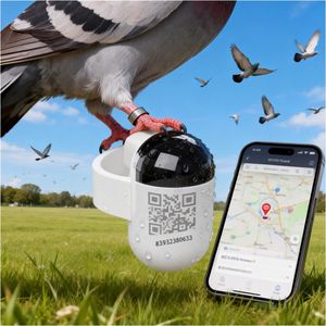 Dispositif de suivi d'<span class=keywords><strong>oiseaux</strong></span> GPS 4G le <span class=keywords><strong>plus</strong></span> petit avec transmetteur en direct, bague anti-perte pour pigeon pour le vol en extérieur - Product Image 6