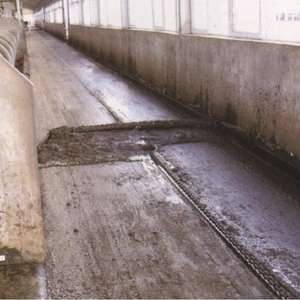 Viehdung reinigungs maschine Edelstahl-Mistabsc haber platte für Tierhaltung geräte - Product Image 6