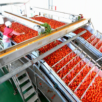 Machine à fabriquer de la pâte de tomate, machine de transformation de tomates, ligne de production automatique de ketchup