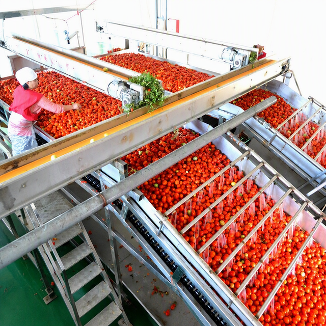 Tomato Paste Making Machine Tomato Processing Machine Automatic Ketchup Production Line