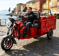 Tricycle électrique EEC pour passagers et marchandises, capacité de chargement, vitesse maximale 40 km/h, trike électrique pour courtes distances