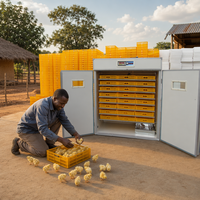 Incubateur d'œufs de poulet électrique automatique professionnel homologué CE, capacité de 2112 œufs, machine combinée
