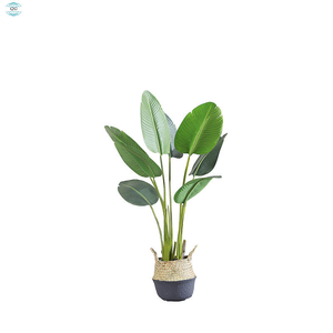 Bananiers et palmiers artificiels de haute qualité en PE, grande taille, résistants à l'eau, durables, pour décoration intérieure et extérieure, vente en gros - Product Image 5