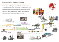Ligne de production de sauces (mayonnaise, chili, tomate, chocolat, confiture de fruits) LWT avec machine d'étiquetage et de scellage