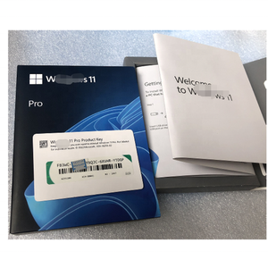 Tàu nhanh giành chiến thắng 11 Pro USB Hộp bán lẻ gói đầy đủ giấy phép phiên bản doanh nghiệp đảm bảo kích hoạt trên toàn cầu W11 W10 nhà làm DPP - Product Image 3