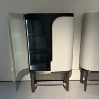 Armoire à vin à porte en verre moderne haut de gamme Affichage lumineux LED Stockage en bois massif pour le salon de la maison Style contemporain de luxe