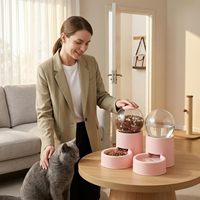 Distributeur automatique d'aliments pour animaux de compagnie en forme de capsule spatiale, avec gamelle et fontaine à eau de 0,8 L pour petits chiens et chats