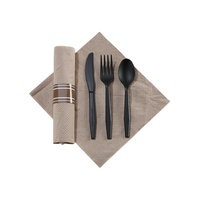 Ensemble de couverts de fête biodégradables et compostables certifiés BPI ABA DIN CERTCO, en CPLA écologique, couteau, fourchette, cuillère, Green Day