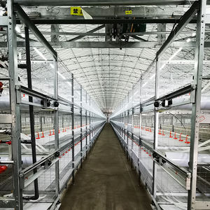 Système d'alimentation automatique de volaille nouvel état équipement d'élevage de volaille animale machine de fabrication d'aliments pour volaille - Product Image 3