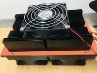 China Manufacturer 24v 100w Peltier Cooler Cooling System Thermoelectric Air Module Heat Sinks