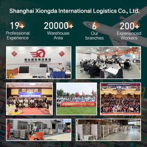 Internationale Logistiek Ddp Fcl Deur Tot Deur Lucht Zee Expediteur Expediteur Van China Naar Verenigde Staten Usa/Canada - Product Image 6