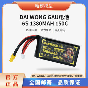 Batería de Litio DOGCOM 1380mah 6S 150C 221g, Molde Privado para Kit de Dron FPV RC, Controlador de Vuelo - Product Image 5