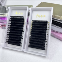 Extensions de cils en cachemire et vison de qualité supérieure de 25mm fournitures en gros plateaux de cils à volume individuel avec marque privée