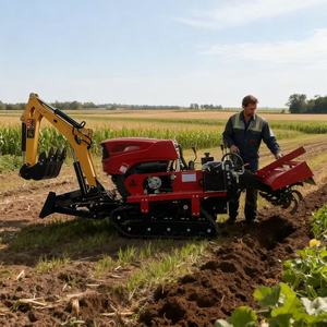 Petite machine de travail du sol motorisée 25 CV, motoculteur et butteur sur chenilles pour l'agriculture, l'entretien des jardins, le désherbage, machine de travail du sol polyvalente - Product Image 2