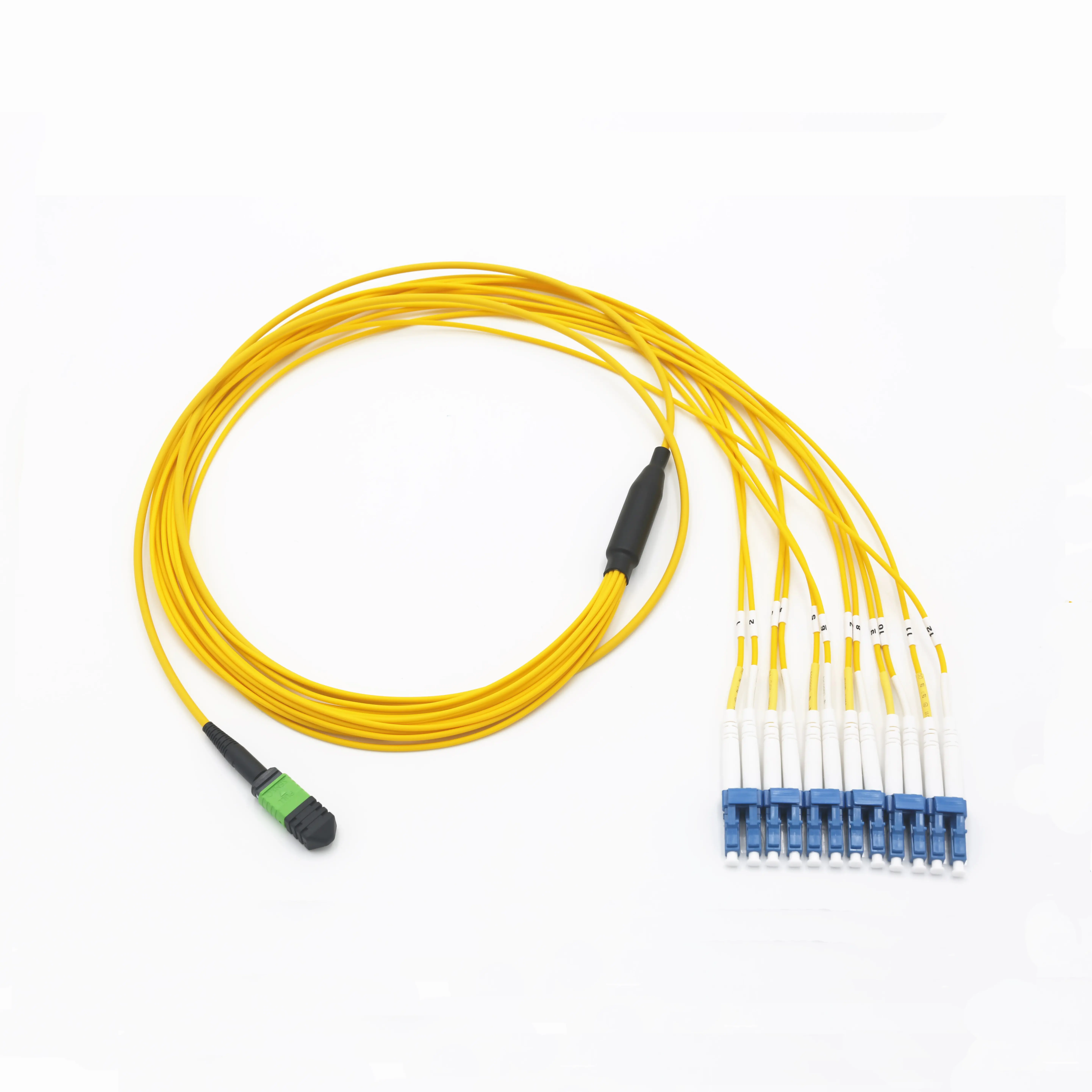 LSZH Jacket Multimode MPO/MTP Sợi Quang Patch Cord Trunk Cable