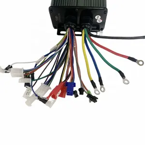 Global Hot Sale Factory Direct 24V 36V 48V 500W Electric Scooter Electric Bicycle Controller Brushless DC Motor Controller