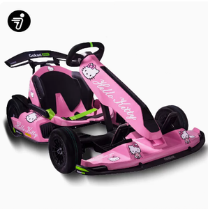 Maserati Version 40km/h Ninebot Electric Racing <strong>Go</strong> <strong>Karts</strong> Baked Varnish for Kids and Adults Pro Karting - Product Image 2