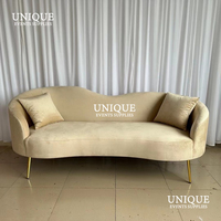 Décoration de réception de mariage moderne, canapé lounge en velours coloré avec canapé en acier inoxydable pour appartement, salon, hôtel, événement