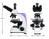 Meilleures ventes Microscope binoculaire microscopique portatif pour animaux Microscope pour animaux avec caméra Endoscope médical portable pour animaux de compagnie