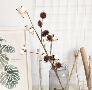 SZ04132 — <span class=keywords><strong>fleurs</strong></span> en <span class=keywords><strong>coton</strong></span> <span class=keywords><strong>séchées</strong></span> naturellement naturelles, 10 Bouquets de branches de <span class=keywords><strong>coton</strong></span> <span class=keywords><strong>séchées</strong></span>, vente en gros - Product Image 3
