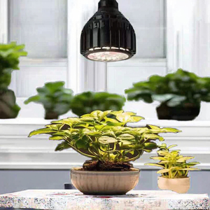 Lampe végétale 30W <span class=keywords><strong>à</strong></span> spectre complet Corps en aluminium avec ampoule verte pour le <span class=keywords><strong>soleil</strong></span> Araceae <span class=keywords><strong>Fleurs</strong></span> Succulent Root Growth Candle Plant Fill Light - Product Image 2