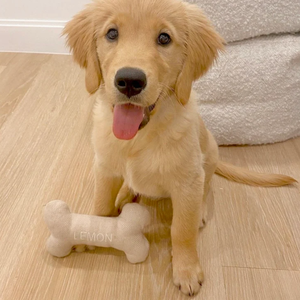 Cuscino in osso di cane pronto per la spedizione ricamato giocattolo per cani da addestramento all'aperto giocattoli Mini cuscino accessori per animali domestici - Product Image 5