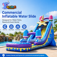 Toboggan aquatique gonflable commercial robuste sur mesure avec piscine pour location événementielle – Fabricant de toboggans aquatiques gonflables