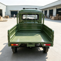 Camion de livraison électrique à basse vitesse à 4 roues avec caisse de chargement renforcée pour le marché agricole, le transport urbain, mini camionnette