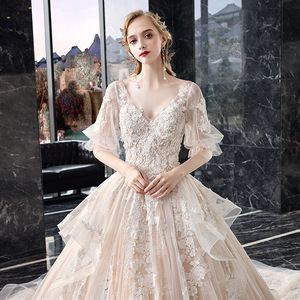 Champagne Wedding Dress Empire Waist V-Neck Lace Long Train Vintage Style Plus Size Bridal Gown - Product Image 3