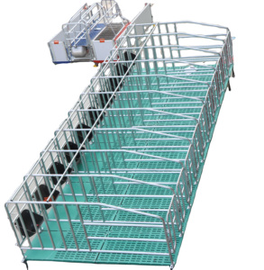 Equipo de Crí<span class=keywords><strong>a</strong></span> de Cerdos, Jaulas de Gestación para Cerdas Galvanizadas en <span class=keywords><strong>Venta</strong></span> - Product Image 1