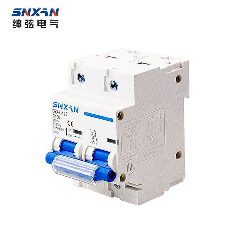 Durable Electronic DZ47 - High Double Breakpoint Customizable Wholesale 2P 100A AC 400V DZ47-125 Factory Price Air Switch