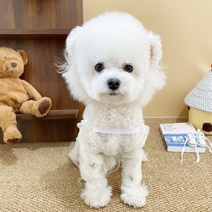 Pet Dog Pants Solid Color Polyester Breathable Lace Style For Small Medium Dogs <b>Cute</b> Design - Product Image 4