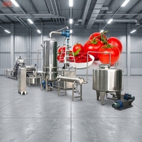 Automatische Kleine Verwerkingsbedrijf Tomatenpuree Productielijn Tomatenpuree Making Machine