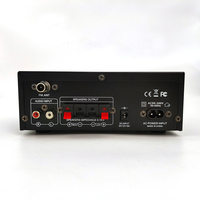 Yeni Metal Ses Sistemi Ev Amplifikatörü AK-45 USB Flash Sürücü HiFi 2 Kanallı Dijital Amplifikatör Karaoke için