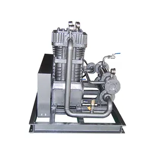 Özel endüstriyel Bio CNG Digester doğal gaz kompresörü yüksek basınç doğal gaz kompresörü makineleri