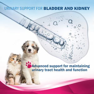 Suplemento Líquido de Arándanos OEM para la Salud del Tracto Urinario de Perros y Gatos, Apoyo para la Vejiga, Infecciones Urinarias, Cálculos en la Vejiga, Incontinencia, Botellas de 60 ml - Product Image 3
