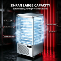 Congélateur automatique haute performance 15 plateaux vertical à refroidissement par air -40°C en acier inoxydable pour boulangerie, fruits de mer et cuisine centralisée