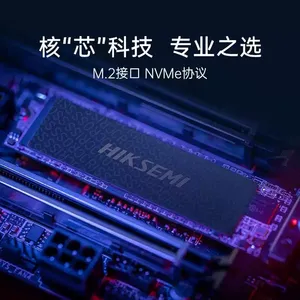 SSD E2000lite 256G 512G 1T NVMe Kecepatan Tinggi untuk Komputer PCIe 3.0 - Product Image 4