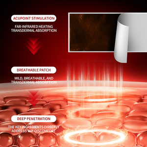 원적외선 자기 통증 완화 패치 (관절염, 근육통, 관절 통증 완화) |   왕테일린 허벌 플라스터 1등급 의료용 - Product Image 4