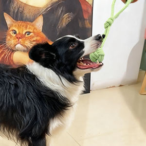 Cuerda de algodón ecológica para perros, pelota de juguete de un solo bucle para tirar a mano, cachorro de peluche y Golden Retriever, juguete para perros grandes y pequeños - Product Image 4