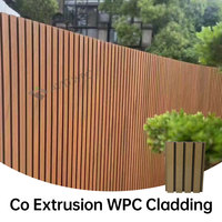 Revêtement mural en WPC co-extrudé à rainures verticales, panneau décoratif extérieur pour villa, clôture de jardin, façade, imperméable, anti-UV, durable