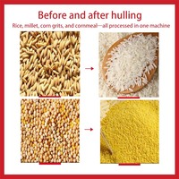 Machine de décorticage et de séparation du riz à haute performance, processus de meulage moderne à économie d'énergie, pour une élimination efficace des coques et des son de riz