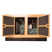 Groupe électrogène à gaz super silencieux 100 kVA 80 kW insonorisé GNC/GN pour ferme, hôtel, résidentiel, alimentation de secours 50/60 Hz avec ATS