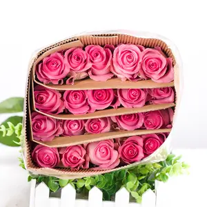 Atacado Fresh Cut Rosas Naturais Cortar Flores Rosas Frescas Cortadas Acordar flores rosas para decoração do casamento