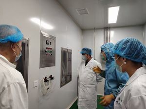 Высокочистый порошок Андрографолида (98%) из экстракта Андрографиса Паникулата для нутрицевтиков, прямые поставки с завода - Product Image 6