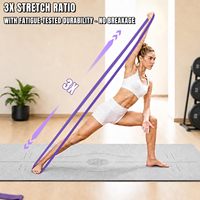Bandas de Asistencia para Dominadas Personalizables OEM ODM, Juego de Bandas de Ejercicio Unisex para Todo el Cuerpo, para Entrenamientos en Casa y en el Gimnasio